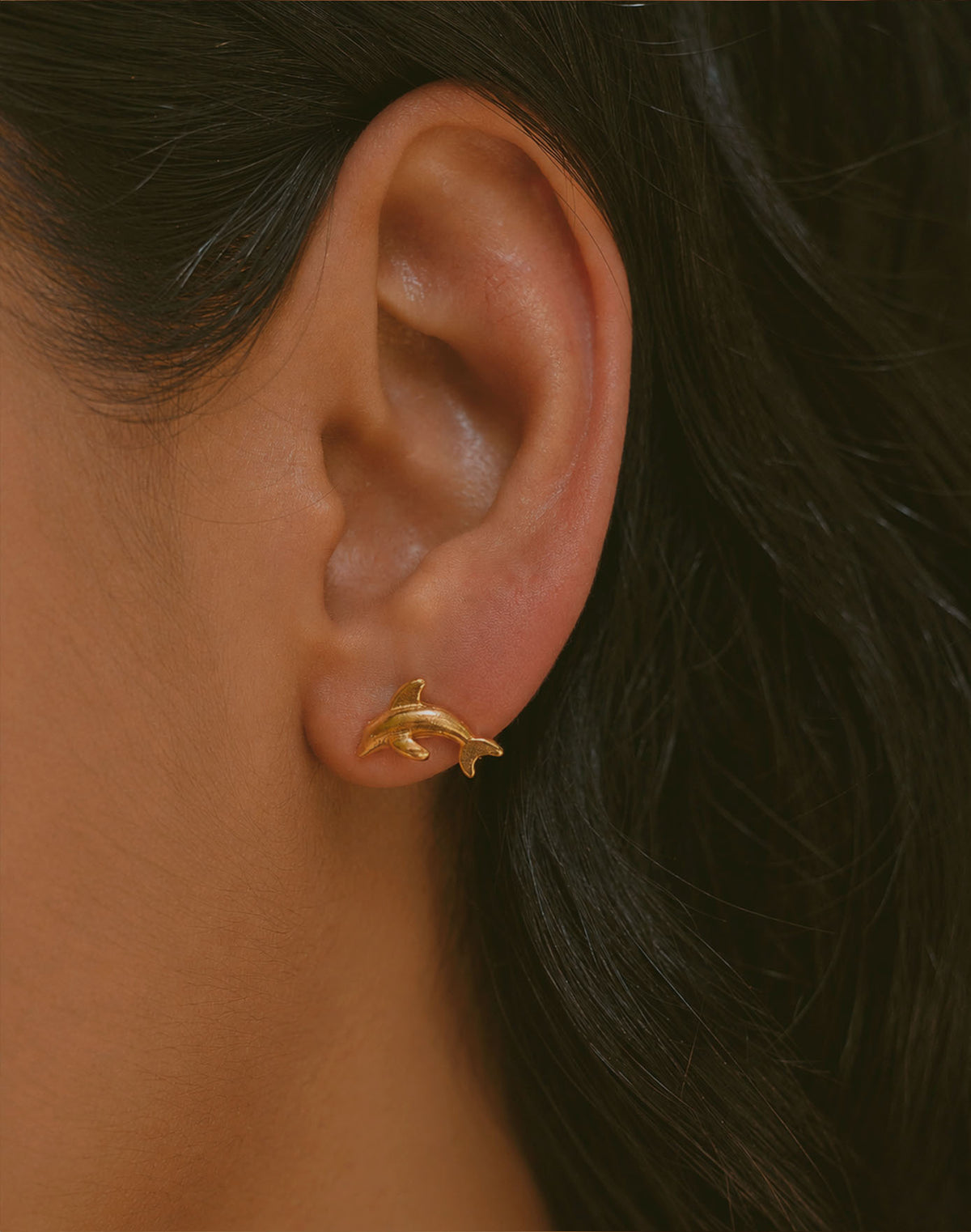 Aretes Delfín
