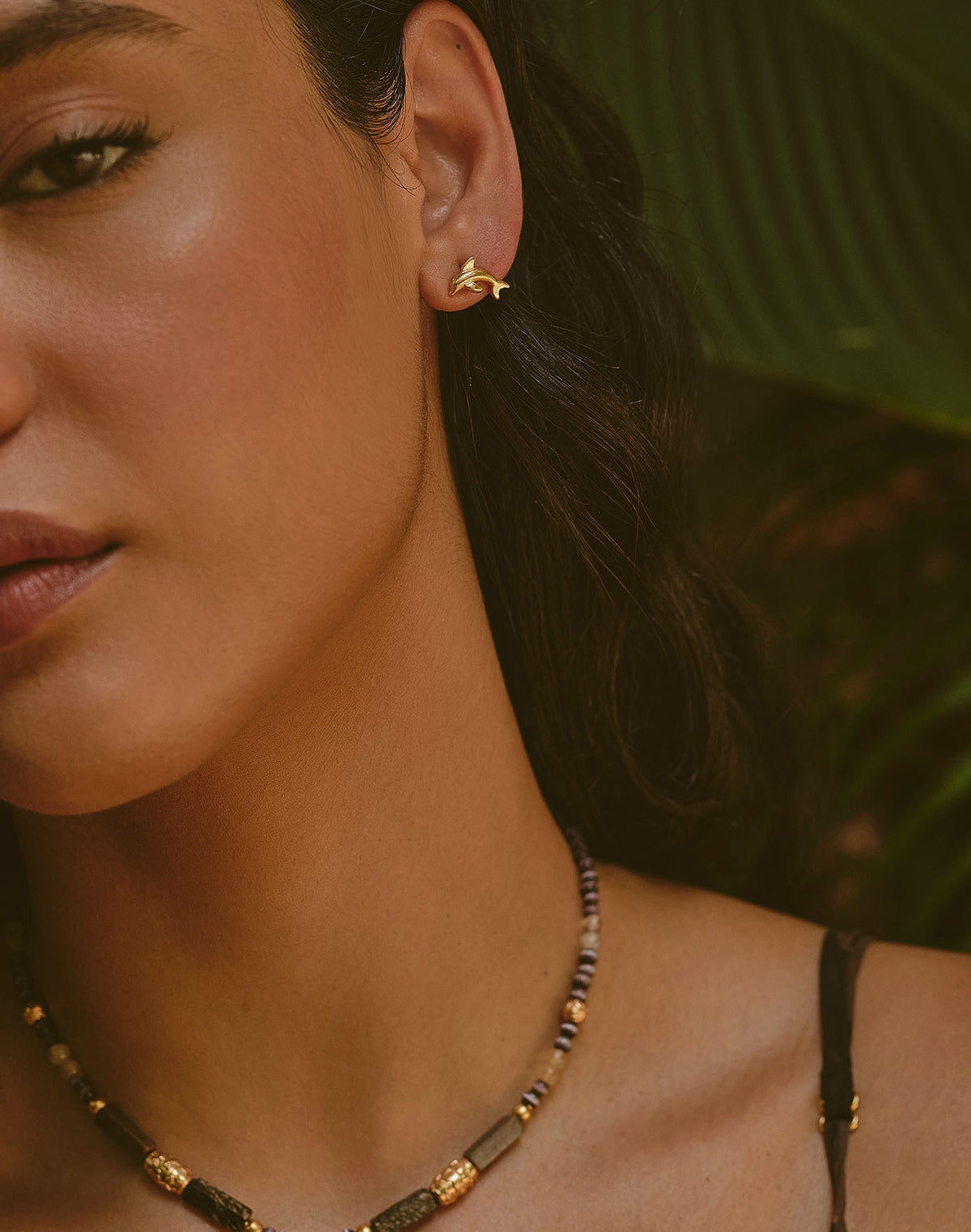 Aretes Delfín