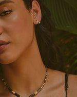 Aretes Delfín