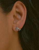 Aretes Delfín