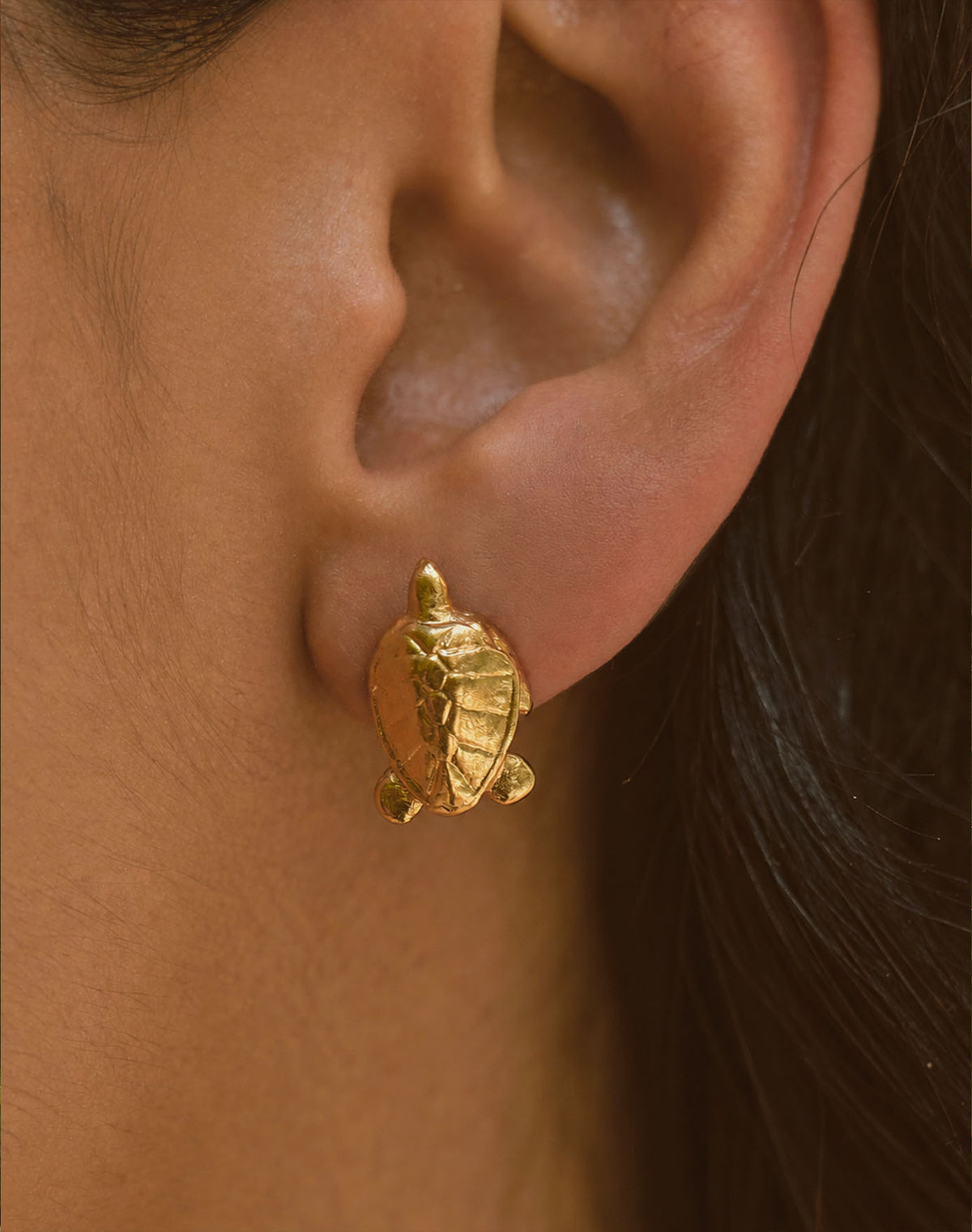 Aretes Tortuga del Mar