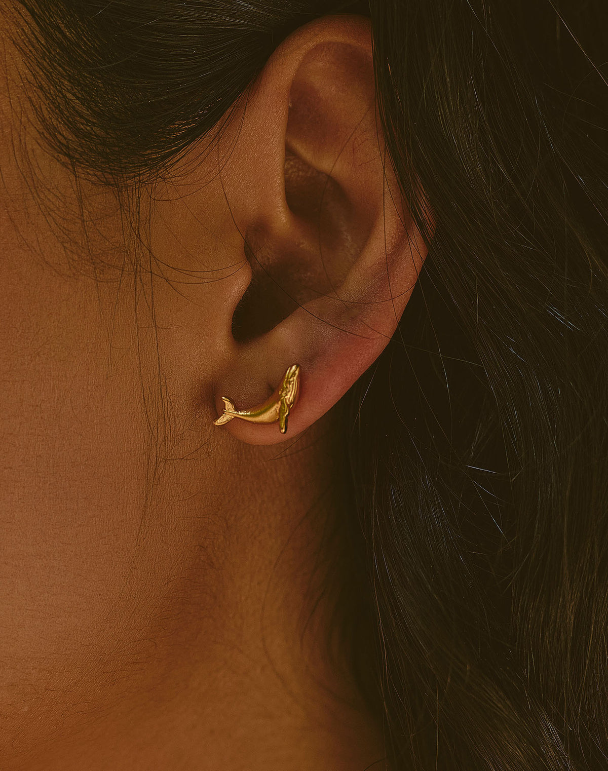 Set de Collar + Aretes Ballena