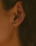 Set de Collar + Aretes Ballena