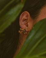 Aretes Rana Azul