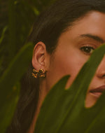 Aretes Rana Azul