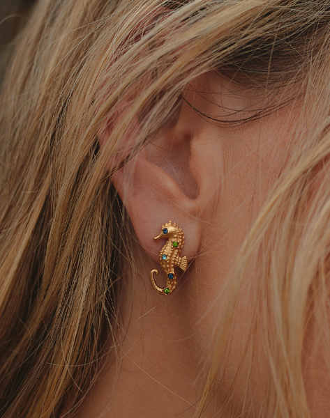 Aretes Caballito de Mar | Entrelazos Accesorios