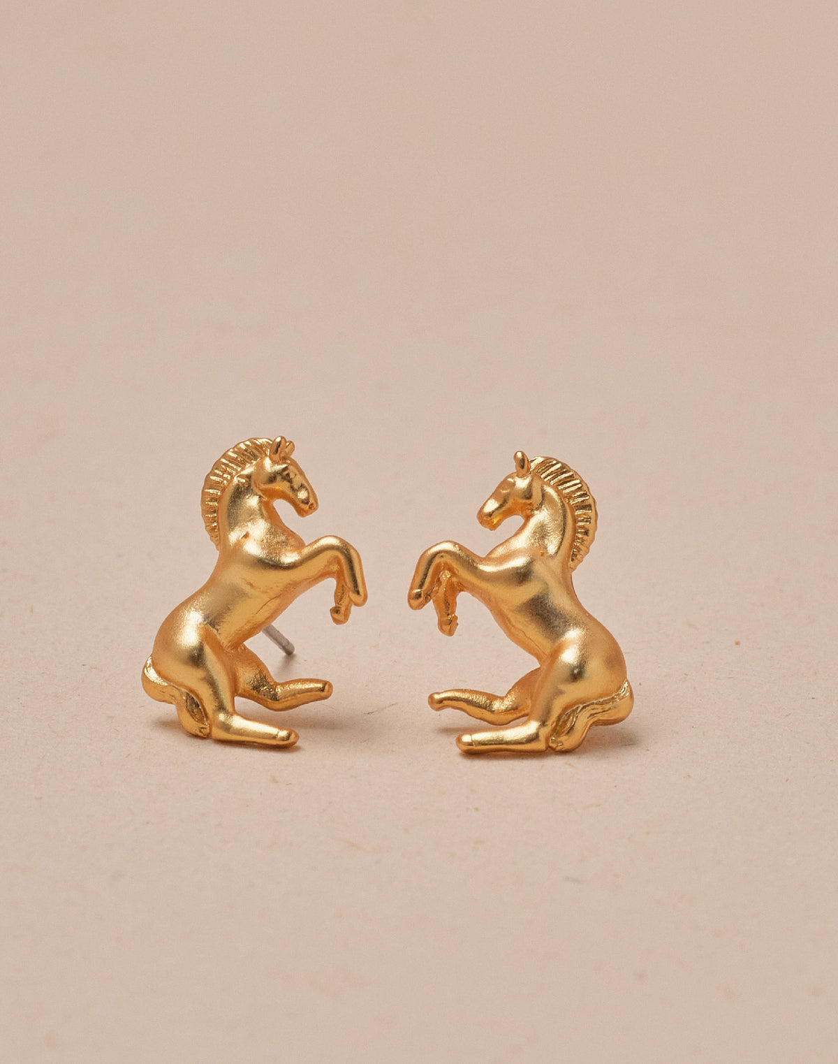 Aretes Caballo