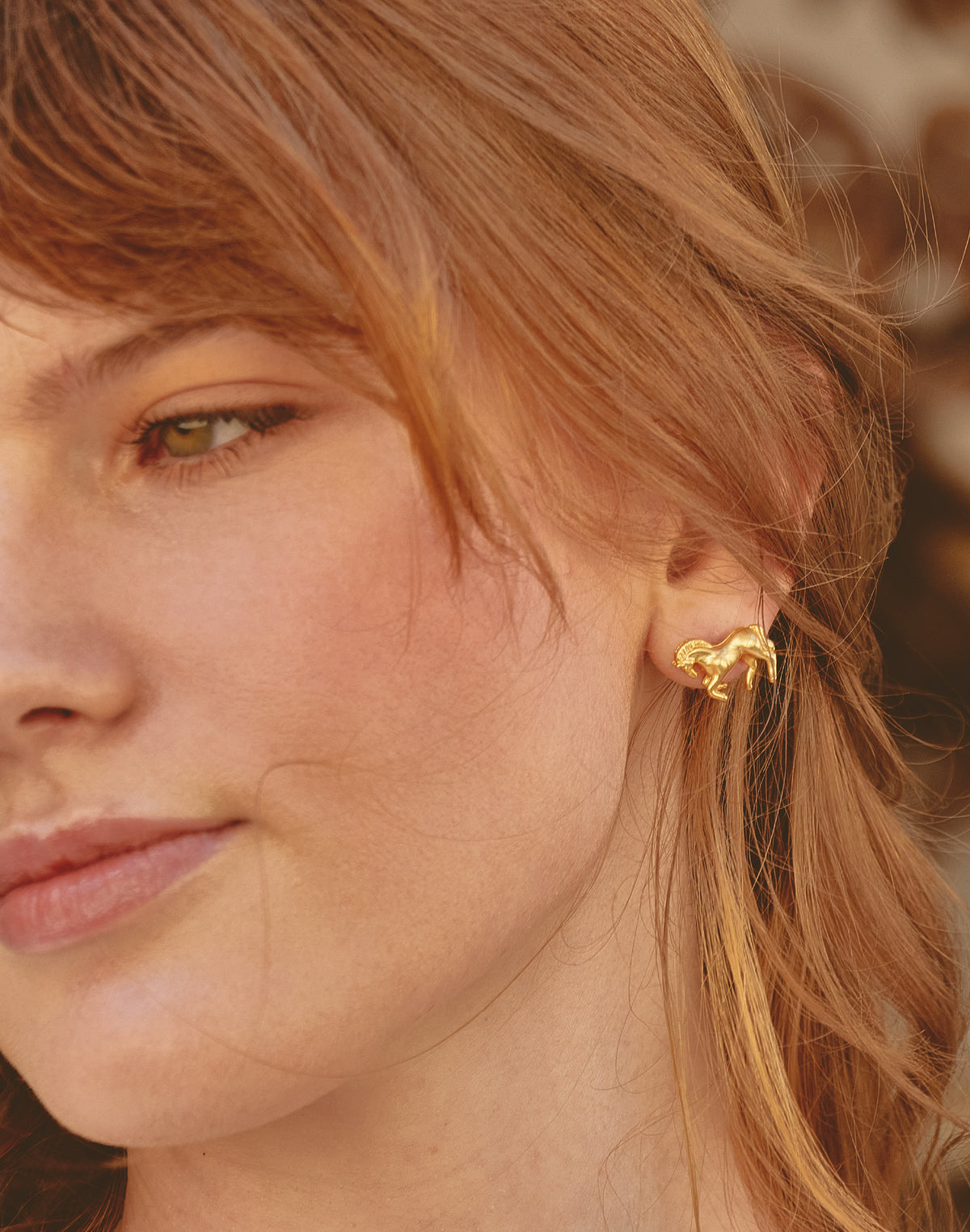 Aretes Caballo