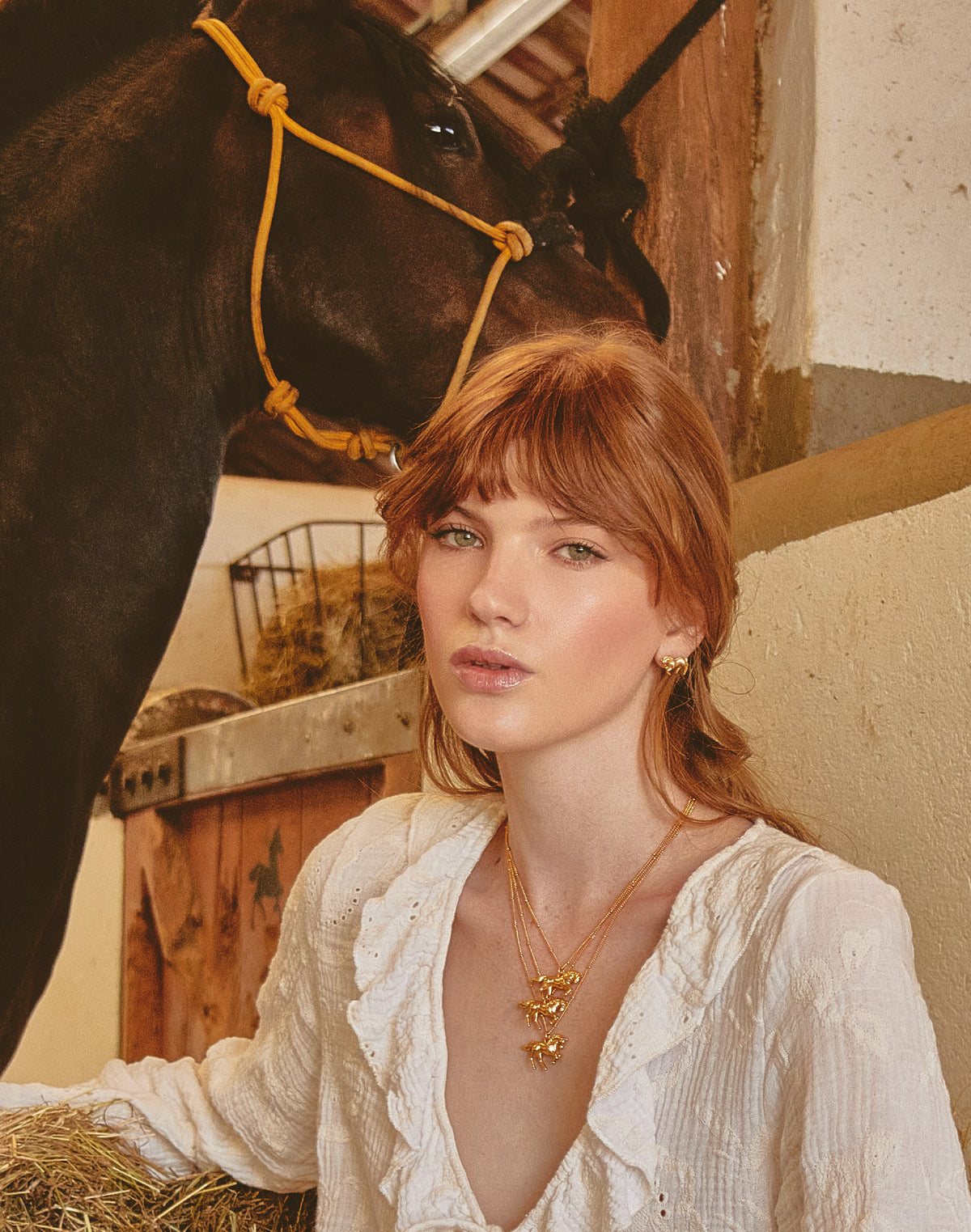 Aretes Caballo