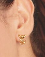 Aretes Chihuahua