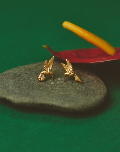 Aretes Colibrí