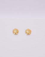 Aretes Concha