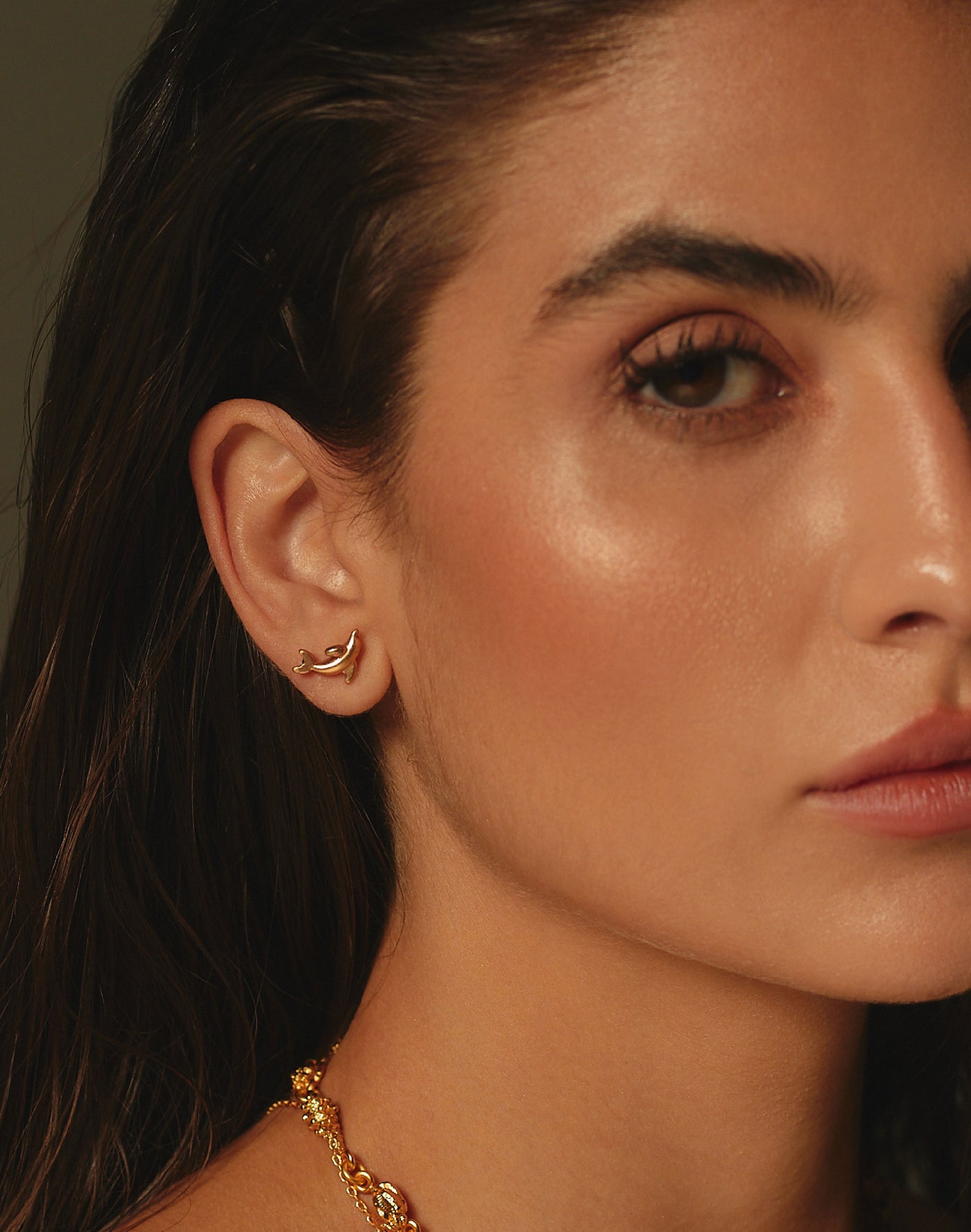 Aretes Delfín