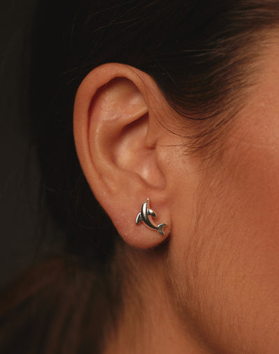 Aretes Delfín