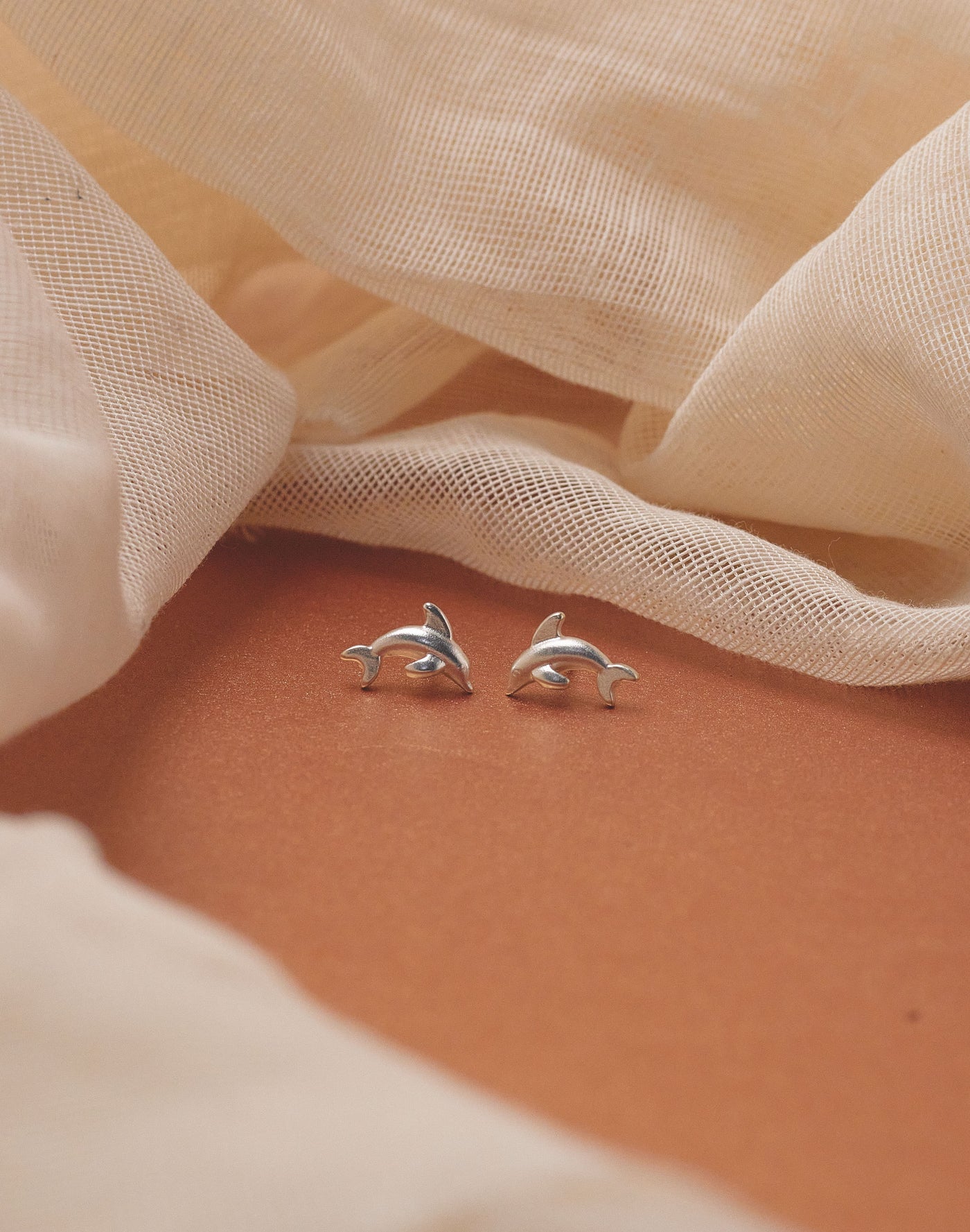 Aretes Delfín