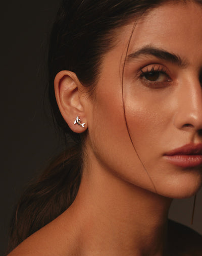 Aretes Delfín
