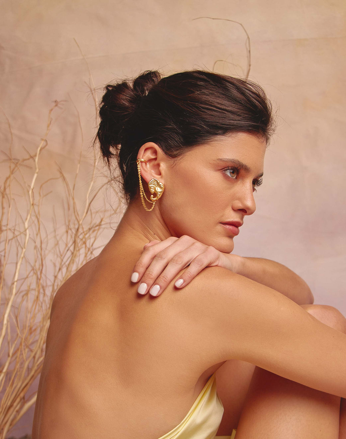 Aretes Elefante Africano