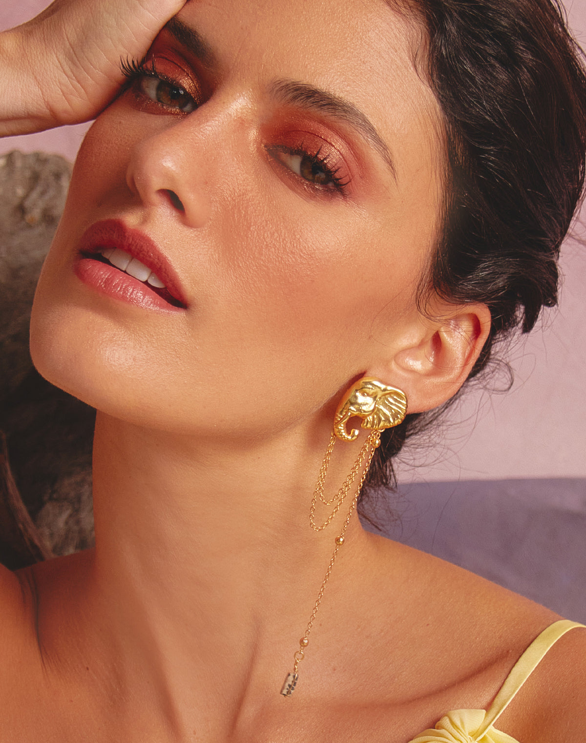 Aretes Elefante Africano
