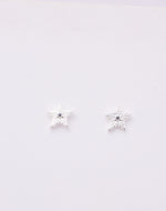 Aretes Estrella