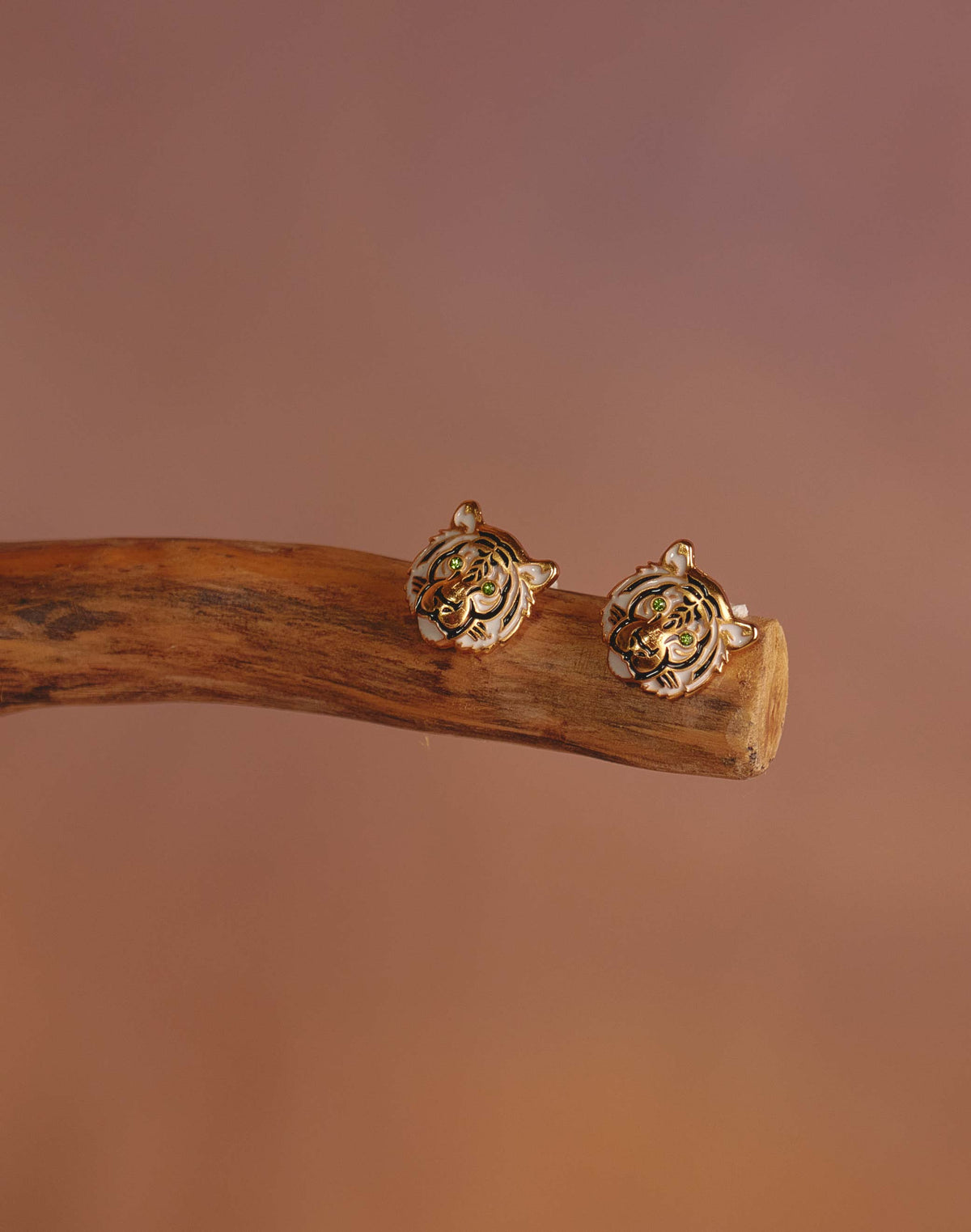 Aretes Felino