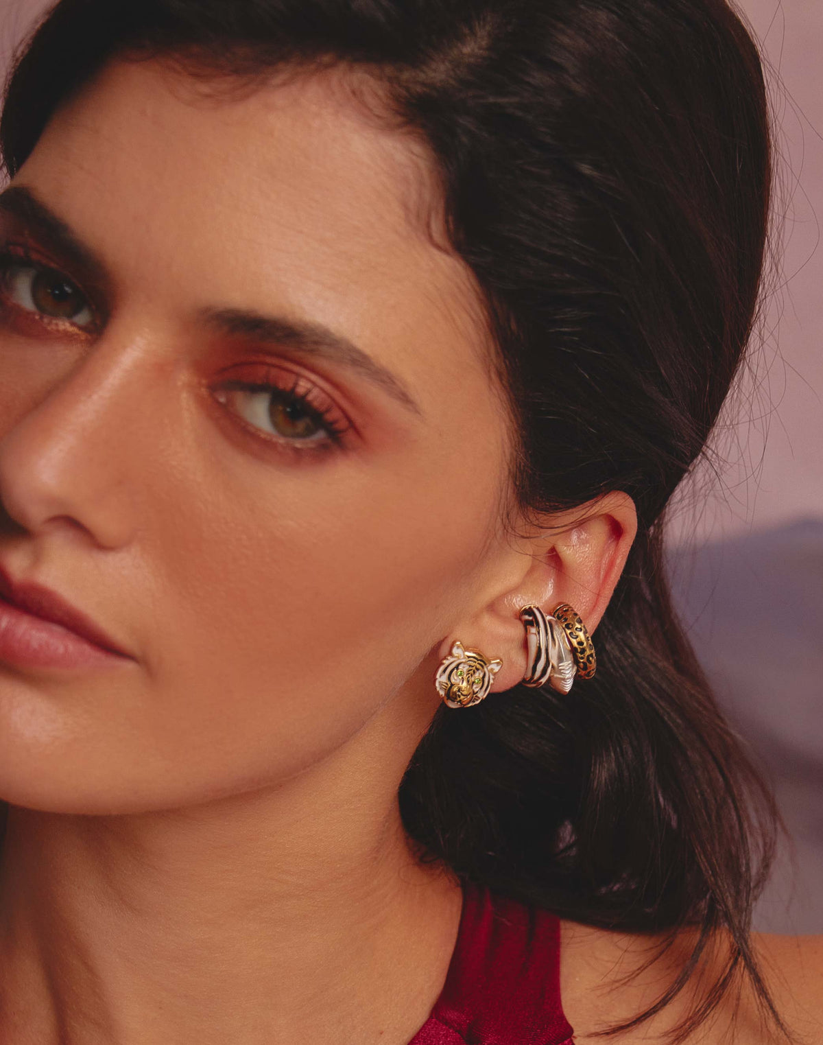 Aretes Felino