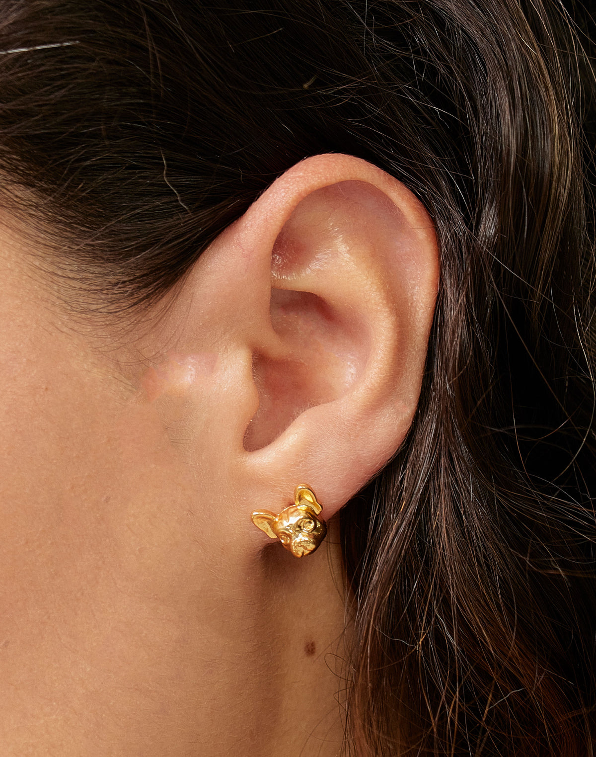Aretes Frenchie