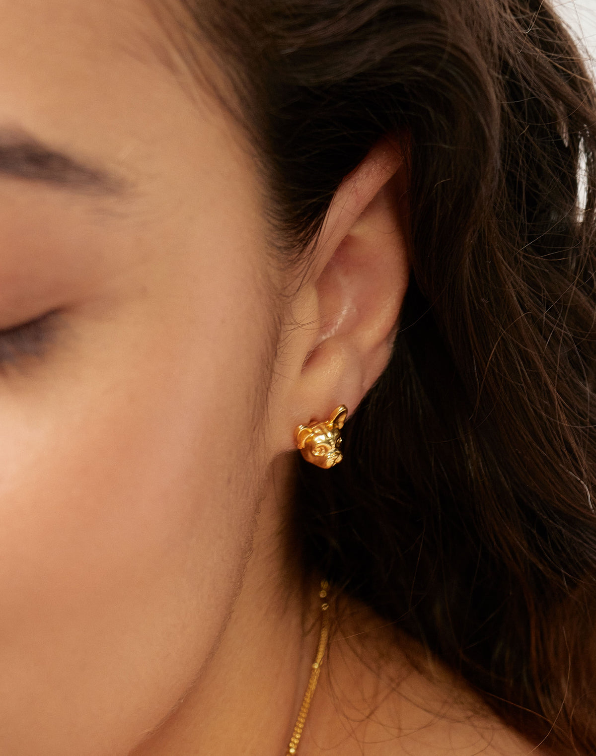 Aretes Frenchie