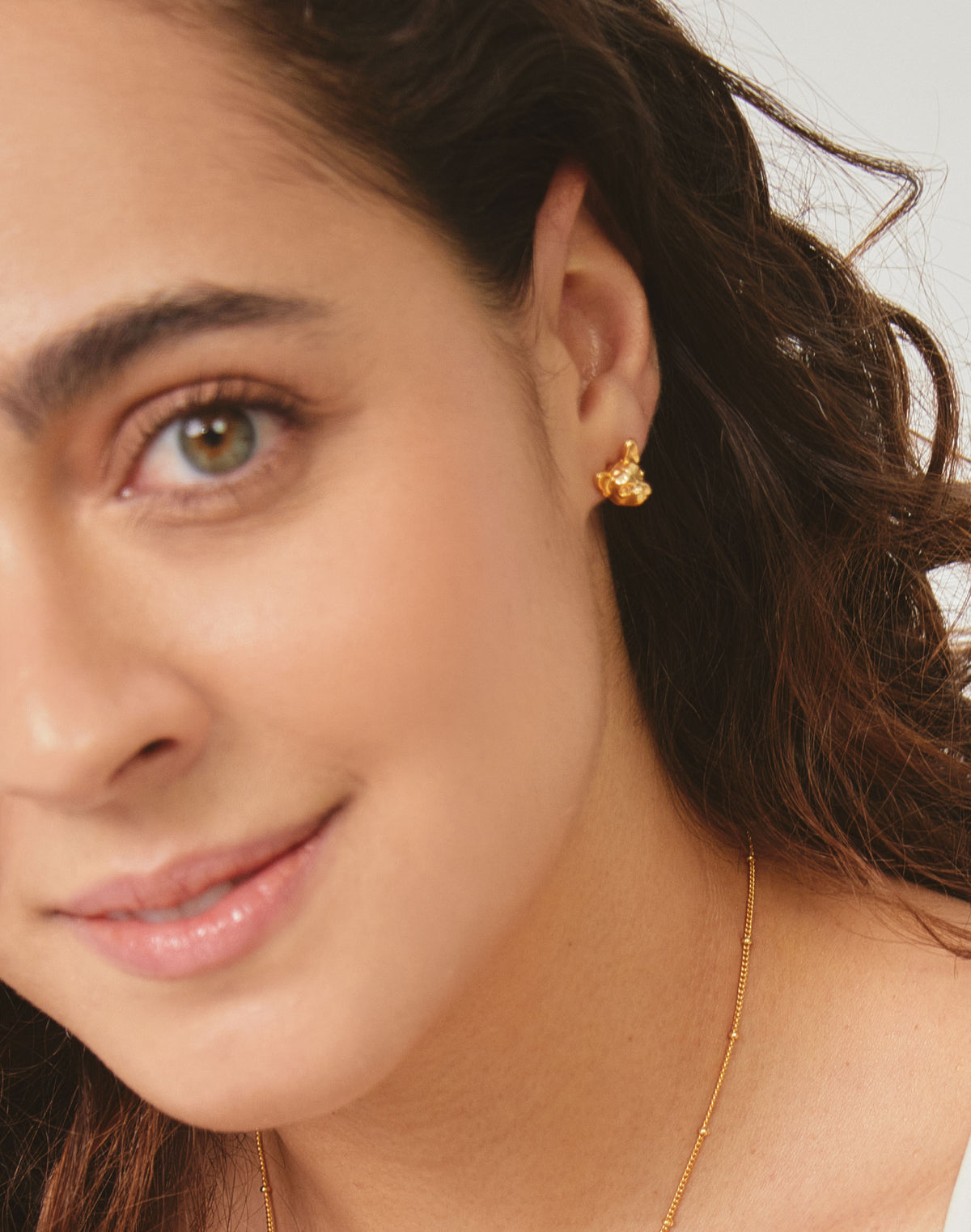 Aretes Frenchie