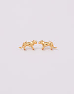 Aretes Puma