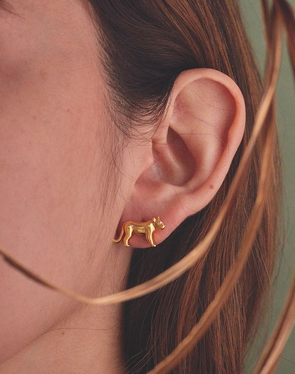 Aretes Puma