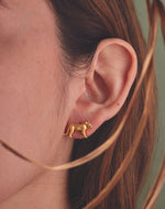 Aretes Puma