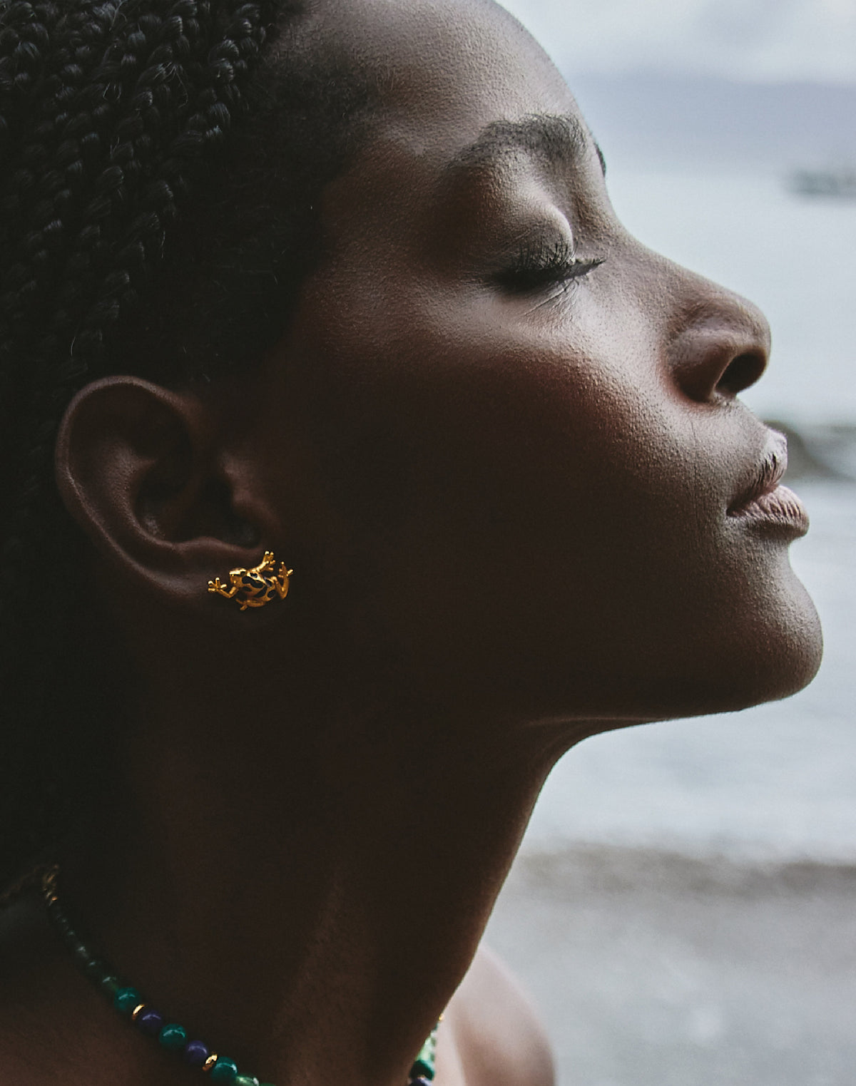 Aretes Rana Azul