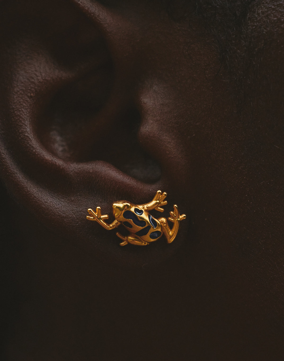 Aretes Rana Azul