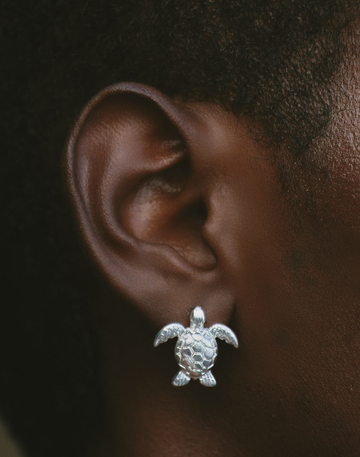 Aretes Tortuga Carey