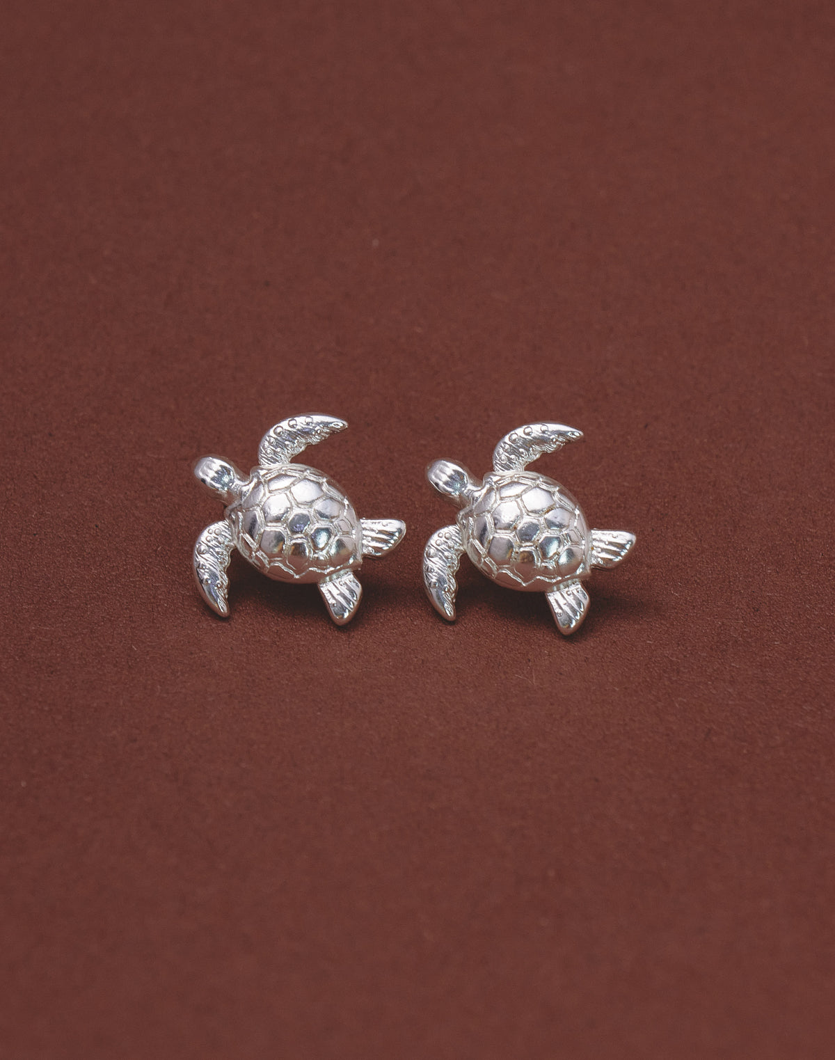 Aretes Tortuga Carey