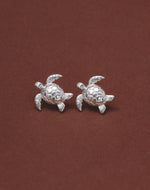 Aretes Tortuga Carey