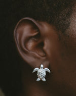 Aretes Tortuga Carey