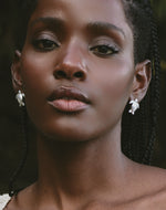 Aretes Tortuga Carey