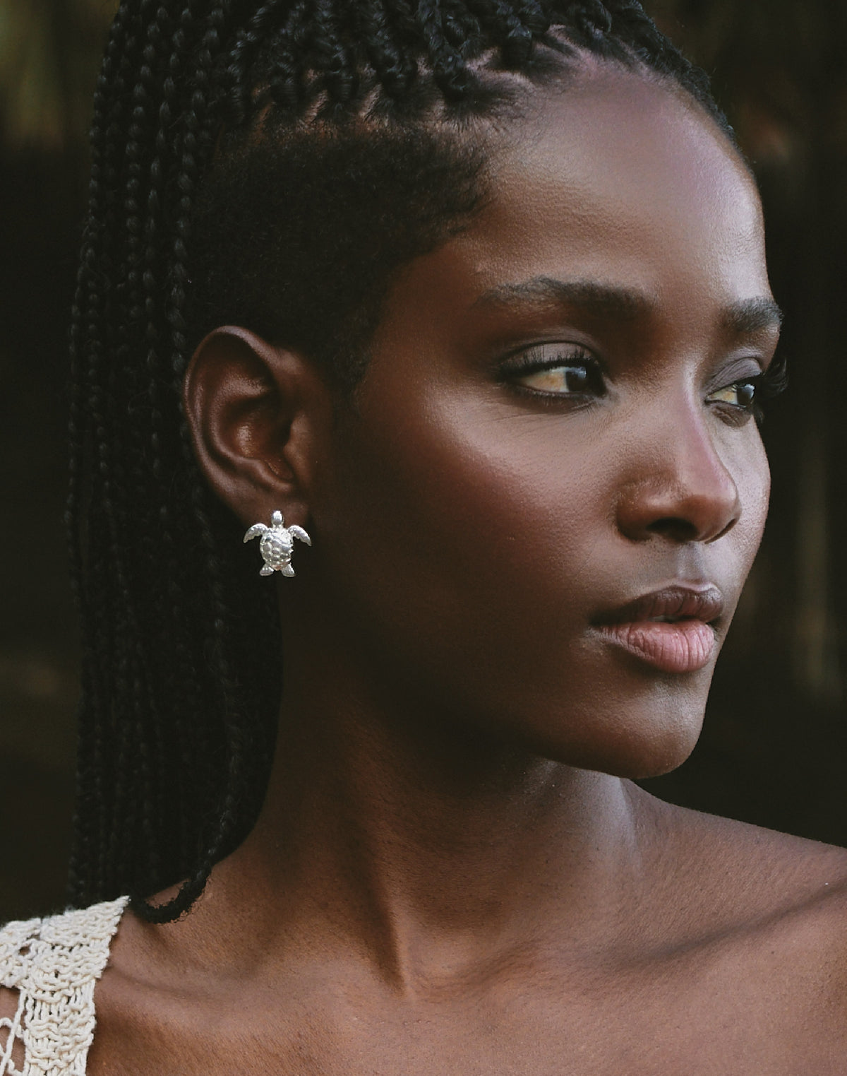 Aretes Tortuga Carey