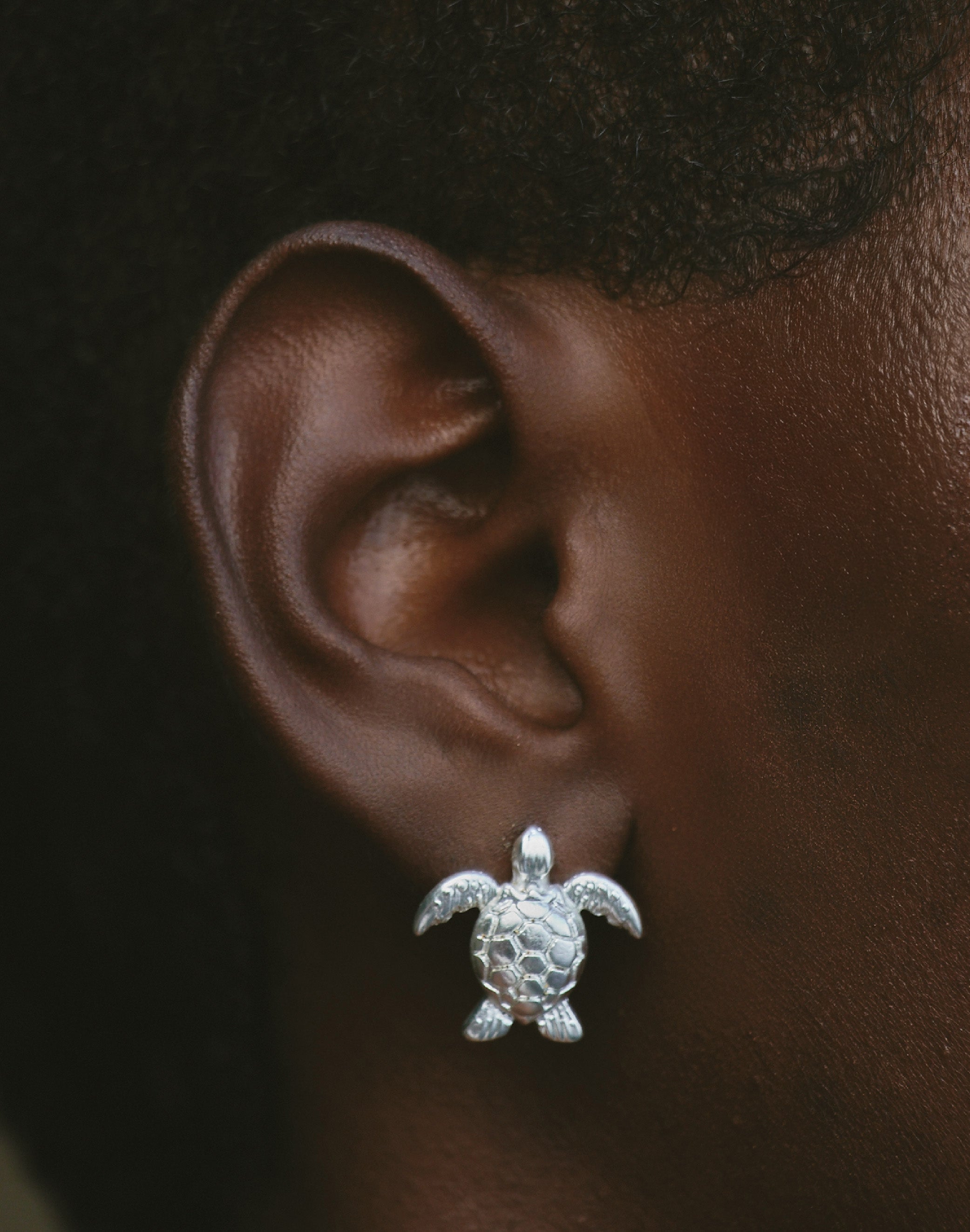 Aretes Tortuga Carey