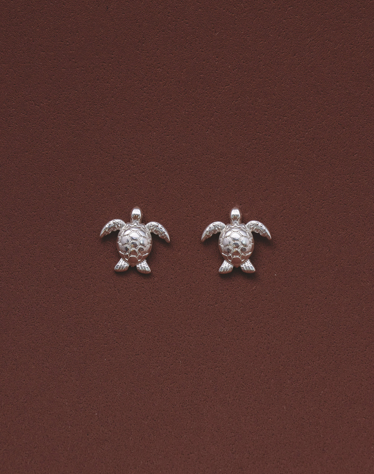 Aretes Tortuga Carey