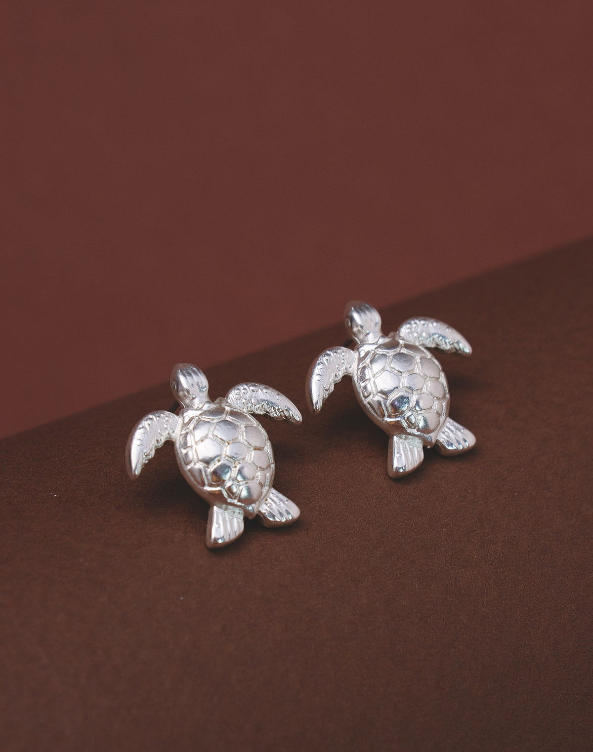 Aretes Tortuga Carey