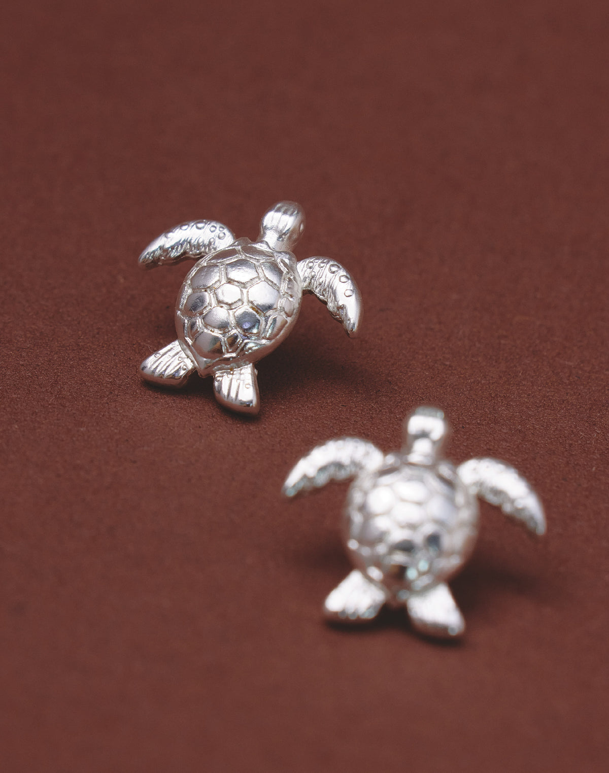 Aretes Tortuga Carey