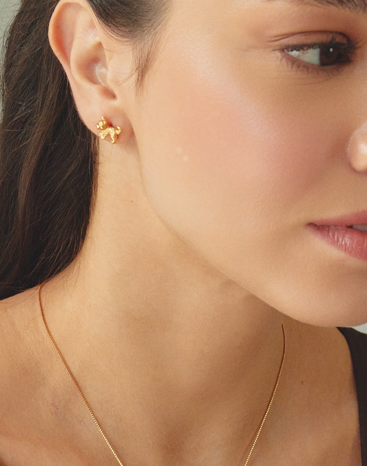 Aretes Yorkie