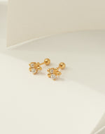 Aretes en Plata Zircones Clear