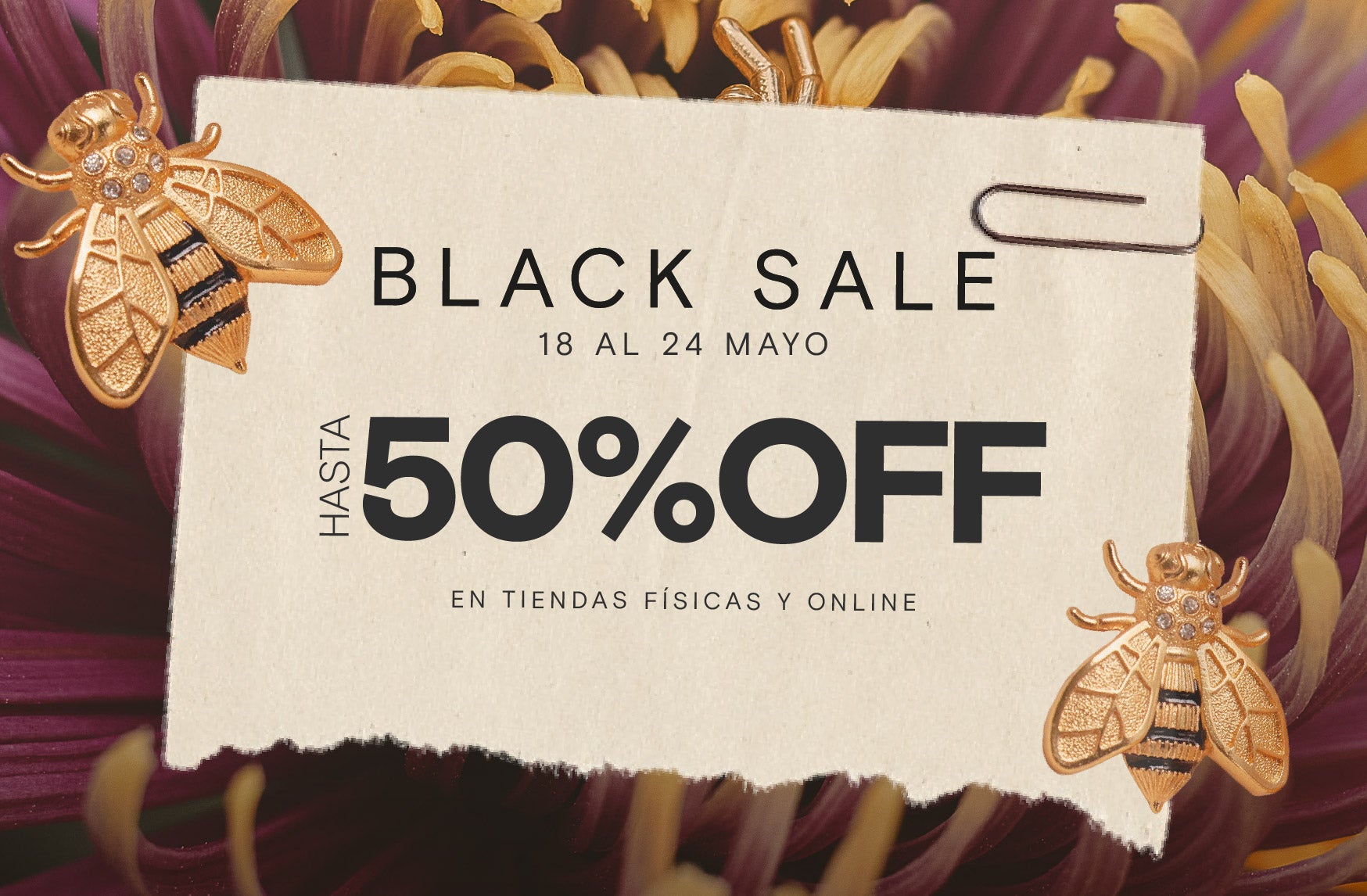 Oferta especial