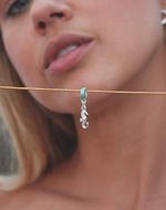 Charm Caballito de Mar