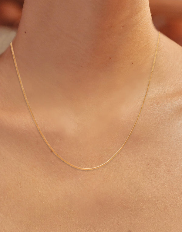 Collar Charming