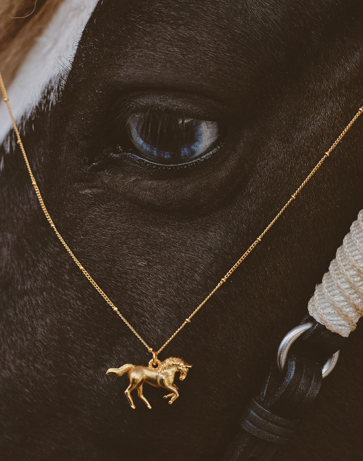 Collar Country
