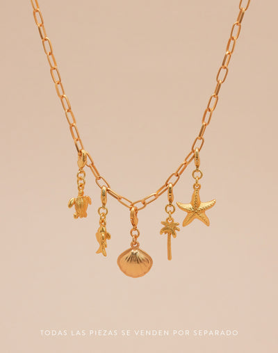 Collar Delhi